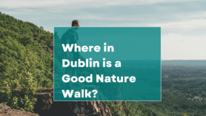 Where in Dublin is a Good Nature Walk? -Phoenix Park