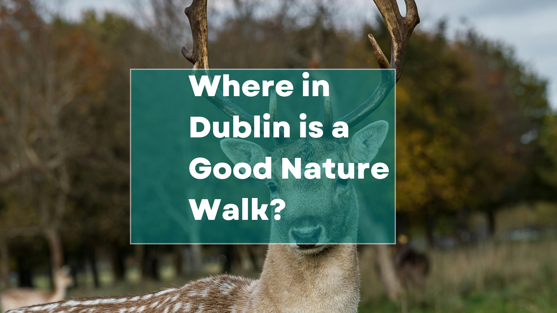 Where in Dublin is a Good Nature Walk?