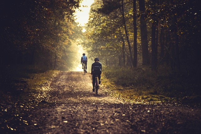 Dublin Cycling Route Maps
