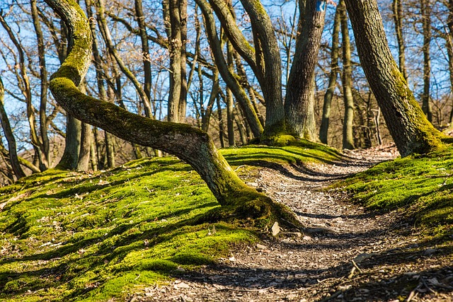 Dublin Hiking Route Maps