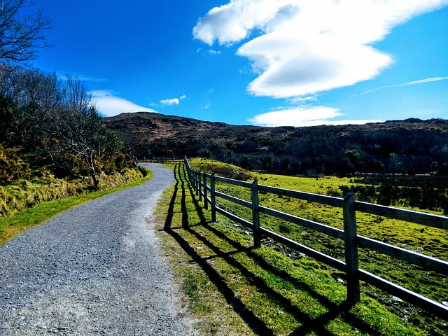 ireland- Park