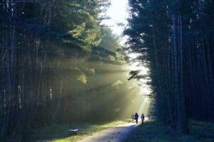 Dublin Hiking Route Maps