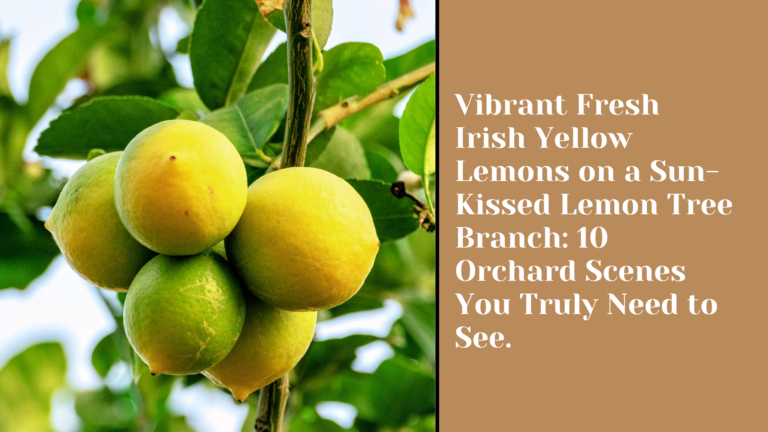 Vibrant Fresh Irish Yellow Lemons on a Sun-Kissed Lemon Tree Branch: 10 Orchard Scenes You Truly Need to See.