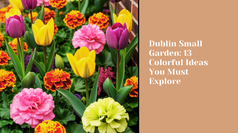 Dublin Small Garden: 13 Colorful Ideas You Must Explore